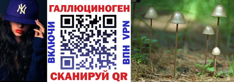 Псилоцибиновые грибы MAGIC MUSHROOMS  Архангельск 