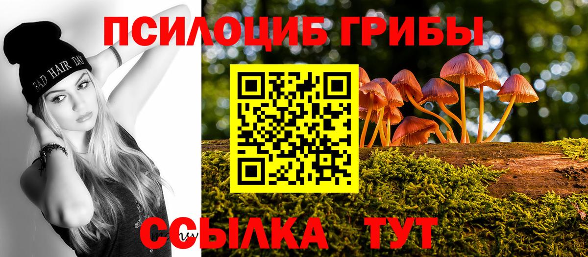 Псилоцибиновые грибы Cubensis  закладки  Галлюциногенные грибы мухоморы  Архангельск 