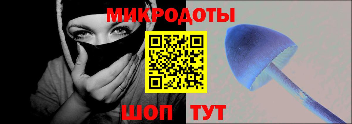 Галлюциногенные грибы Psilocybine cubensis Архангельск